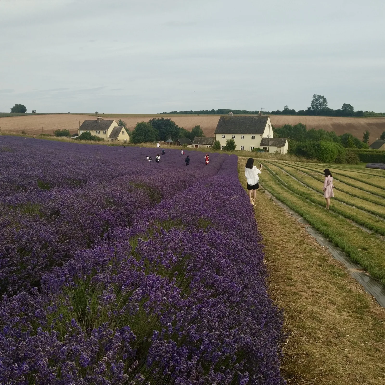 Inspiration 03